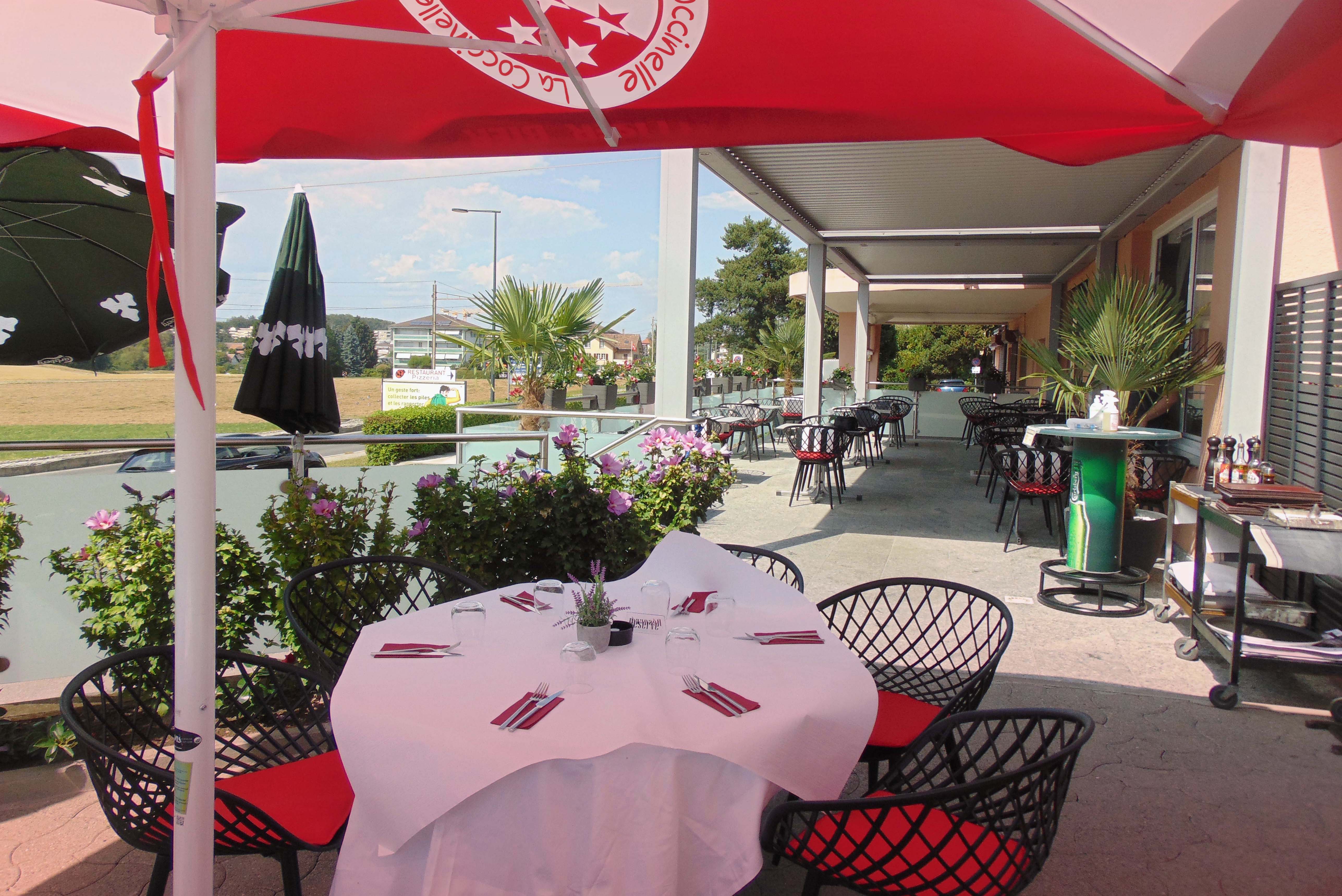 Terrasse%202Coccinelle%20copie